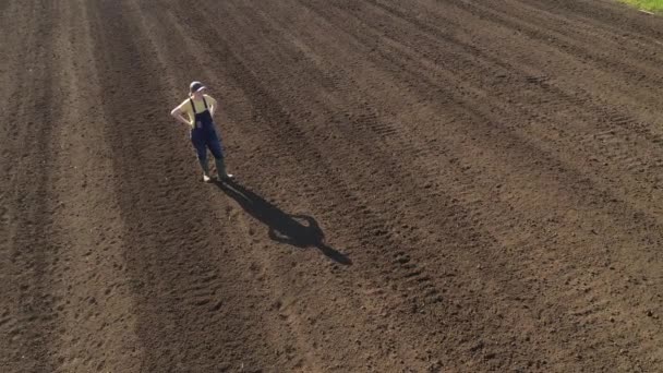 Fotografia Aérea Agricultora Agrônomo Olhando Sobre Campo Arado Dia Ensolarado — Vídeo de Stock