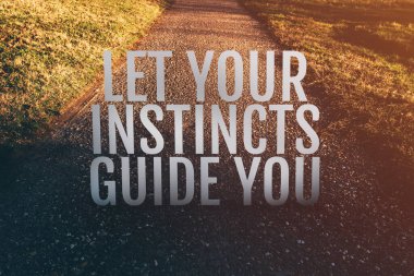 Let your instincts guide you motivational quote on footpath along the park, selective focus clipart