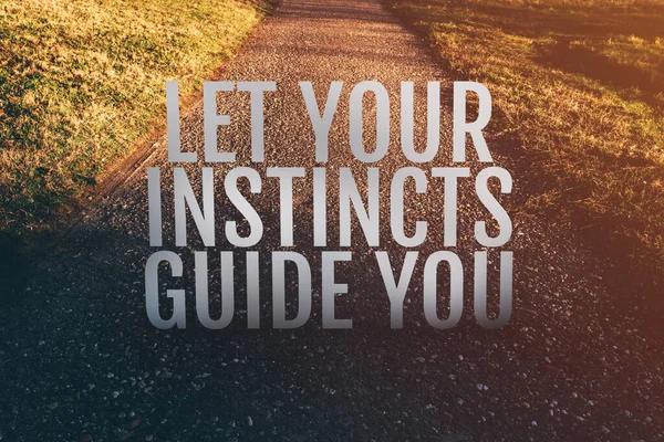 Let Your Instincts Guide You Motivational Quote Footpath Park Selective — Stock Photo, Image