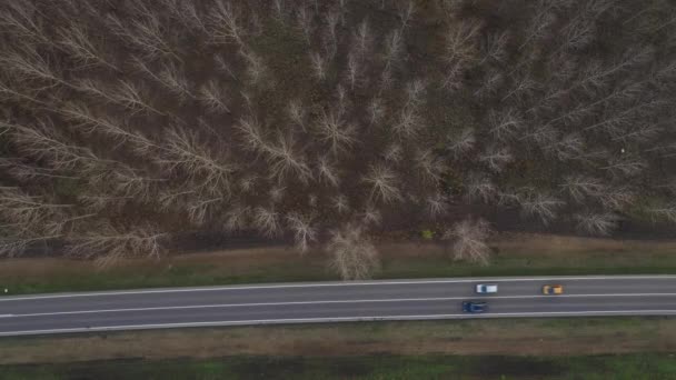 Sok Autó Úton Keresztül Erdő Felülről Drón Pov Légi Fotózás — Stock videók