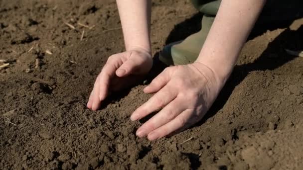 Kobieta Rolnik Agronomist Sprawdzanie Jakości Orki Gleby Przed Sezonem Siewu — Wideo stockowe