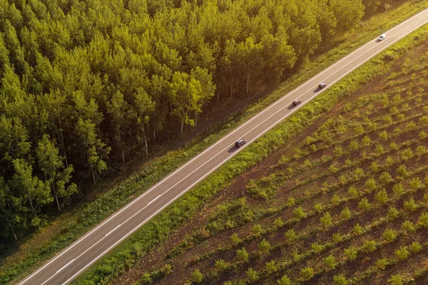 Автомобілі Шляху Через Лісовий Пейзаж Аерофотозйомка Дронів Високий Кут Огляду — стокове фото