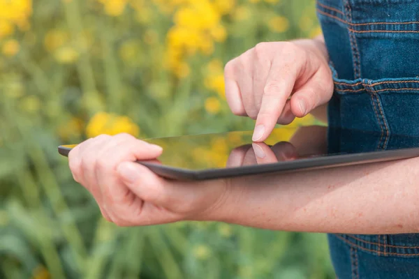 女性农民农艺学家利用创新技术平板电脑在开花菜籽田中的应用 有针对性地选择重点 — 图库照片
