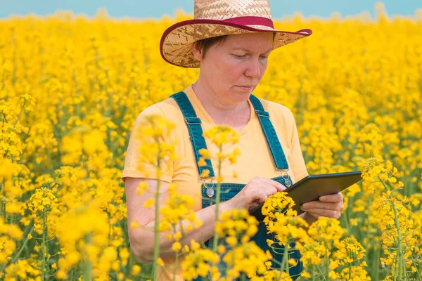 Agronomo Agricoltrice Che Utilizza Tecnologia Innovativa Tablet Computer Campo Colza — Foto Stock