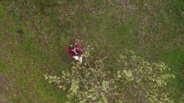 Meyve bahçesindeki çiçek açan kiraz ağacı dallarını denetleyen çiftçi, insansız hava aracının hava manzarası.