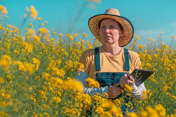 Agricultora Usando Tableta Campo Colza Para Llevar Registros Fiscales Digitales —  Fotos de Stock