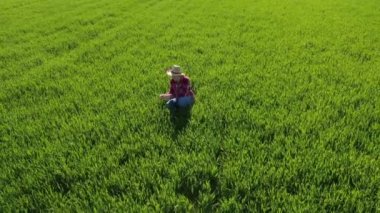 Yeşil buğday tarlasında duran ve ekinlere bakan kadın çiftçinin hava görüntüsü, yüksek açılı yörüngede dönen dron.