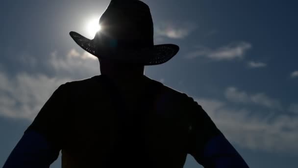 Rear View Female Farmer Looking Fields Back Lit Setting Sun — Stock Video