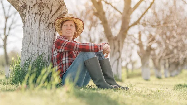 Жінка Фермер Розслабляється Відпочиває Органічному Горіховому Саду Сидячи Під Фруктовим — стокове фото