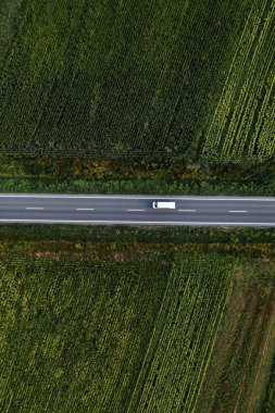 Yeşil tarım alanlarından geçen beyaz minibüsün havadan aşağı görüntüsü, İHA fotoğrafçılığı yüksek açı görüntüsü.