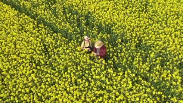 Vue Aérienne Deux Agriculteurs Homme Femme Travaillant Dans Champ Colza — Video