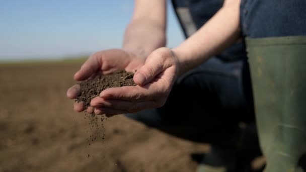 Manos Agricultora Llenas Tierra Fértil Recién Arada Primavera Cerca Con — Vídeos de Stock