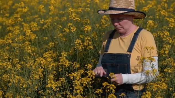 Agricultor Feminino Usando Tablet Campo Colza Para Manutenção Registros Fiscais — Vídeo de Stock