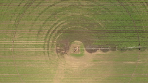 农庄中心枢纽站灌溉设备浇灌青豆苗木的空中景观 无人机摄像 — 图库视频影像