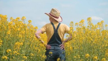 Tarlada çiçek açan kolza tohumu tarlasını kontrol eden kadın tarlada çalışan kadın, seçici odaklanma.
