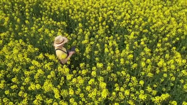 Vue Aérienne Agricultrice Avec Tablette Numérique Dans Champ Colza Pleine — Video