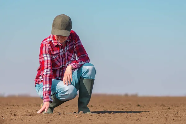 Agricultor Verifica Calidad Del Suelo Campo Arado Antes Temporada Siembra —  Fotos de Stock