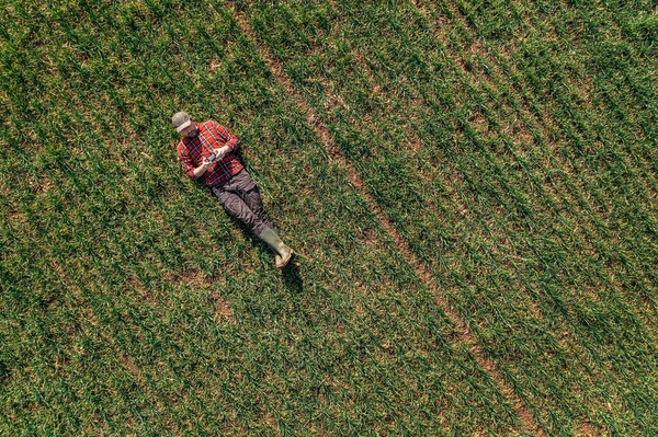 Agricoltore Sdraiato Terra Utilizzando Telecomando Drone Osservare Campo Grano Coltivato — Foto Stock