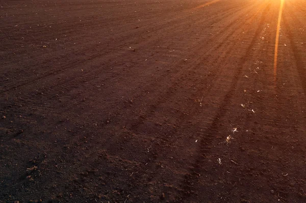 Aerial View Tilled Field Sunset Drone Pov — Stock Photo, Image