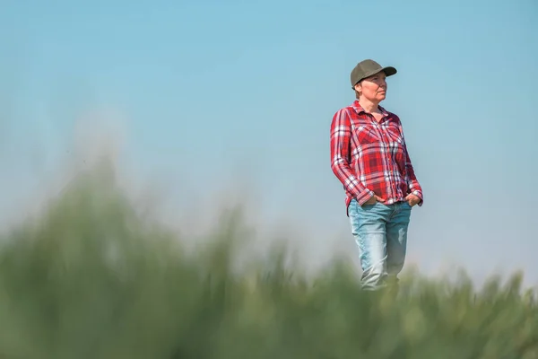 Portrét Farmářky Pěstovaném Pšeničném Poli Farmářky Kostkovanou Košilí Baseballovou Čepicí — Stock fotografie