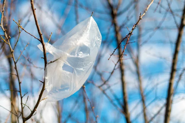 Plastic Zak Gevangen Boomtakken Milieuvervuiling Schade — Stockfoto