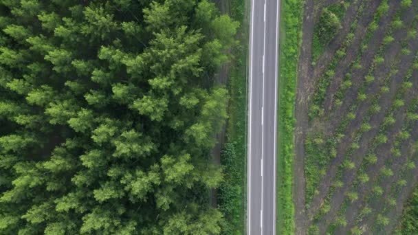 森林景観を介して道路上のトラックや車 空中ショットドローンのPovトップビュー — ストック動画