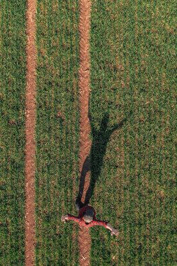 Muzaffer bir jest olarak kollarını kaldırmış buğday tohumu tarlasında dikilen çiftçinin hava görüntüsü, insansız hava aracı pov