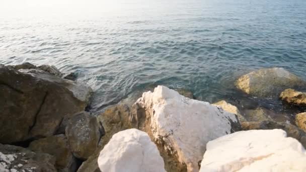 夜明けの海辺 波の夏の朝に岩の海堤防しぶき — ストック動画