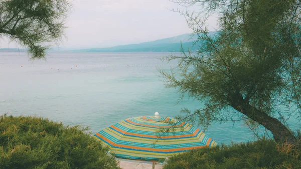 Hırvatistan Krk Adasında Arka Planda Mavi Adriyatik Denizi Seçici Odaklı — Stok fotoğraf
