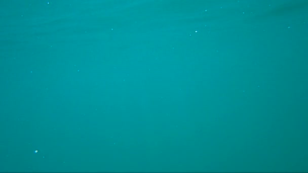 Moře Pod Vodou Jako Abstraktní Pozadí Vzduchovými Bublinami Světelnými Paprsky — Stock video