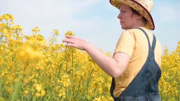 Bakifrån Kvinnlig Bonde Agronomen Promenader Blommande Raps Plantage Tittar Över — Stockvideo