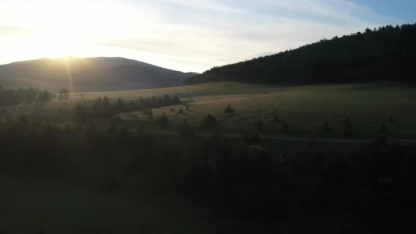 Răsărit Soare Frumos Regiunea Zlatibor Lumina Soarelui Peste Pini Albi — Videoclip de stoc