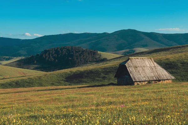 Ποιμενική Κατοικία Στην Πλαγιά Του Λόφου Zlatibor Στη Σερβία Όμορφο — Φωτογραφία Αρχείου