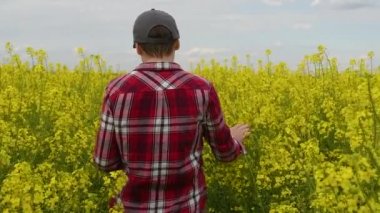 Rear view of female farmer agronomist walking through blooming rapeseed field, slow motion