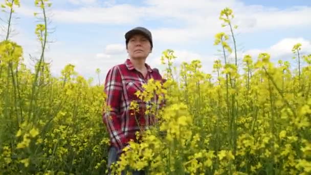 Zwei Bauern Untersuchen Blühende Rapspflanzen Agrarwissenschaftler Und Agronomin Arbeiten Auf — Stockvideo