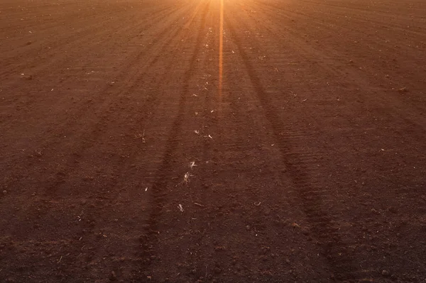 Aerial View Tilled Field Sunset Drone Pov — Stock Photo, Image