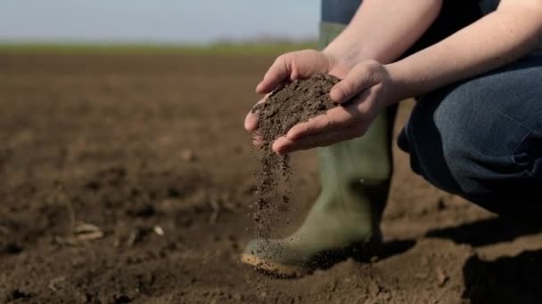 Hands Female Farmer Full Freshly Ploughed Fertile Soil Ground Close — Vídeos de Stock