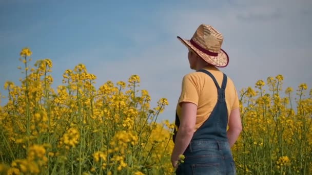 Вид Ззаду Фермерів Агрономів Стоять Квіткових Плантаціях Ріпаку Дивлячись Посіви — стокове відео