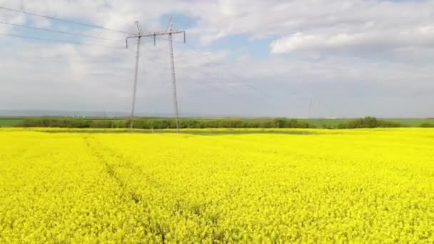 Drone Footage Blooming Canola Rapeseed Field Electricity Pylon Background Bright — Wideo stockowe