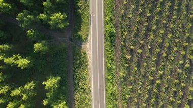 Üç arabanın karşısındaki yolda bisiklet manzarası, yeşil ağaçlık alanda motorcunun tepeden aşağı insansız hava aracı görüntüsü.