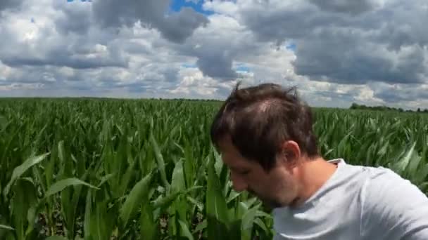 Farmer Vlogging Corn Field User Generated Content Handheld Camera — Stock Video