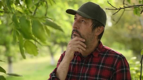 有機クルミの果樹園での瞑想的な男性農家の肖像画 持続可能な農業と自家栽培の作物 選択的な焦点 — ストック動画