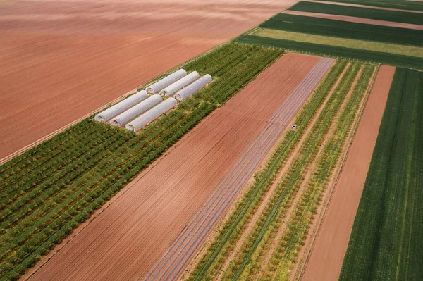 Αεροφωτογραφία Του Καλλιεργούμενου Αγρού Πλαστικό Θερμοκήπιο Την Ηλιόλουστη Ανοιξιάτικη Μέρα — Φωτογραφία Αρχείου