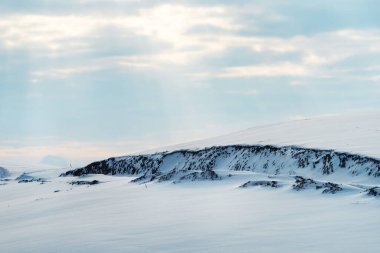 Kış manzarası, beyaz karla kaplı tepeler. Sırbistan 'ın Zlatibor bölgesi.