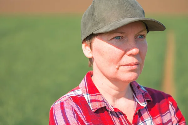 Megművelt Búzamagot Termesztő Női Mezőgazdasági Termelő Kockás Inget Viselő Mezőgazdasági — Stock Fotó