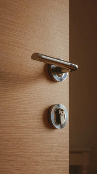 Modern Metallic Door Handle Medium Density Fiberboard Bedroom Door Selective — Stock Photo, Image