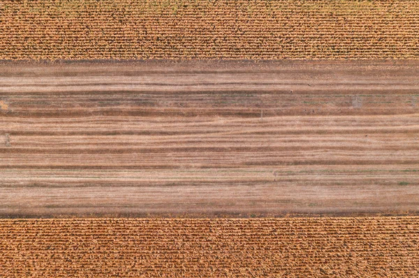 Wheat Stubble Field Harvest Drone Pov Top High Angle View — Stock Photo, Image