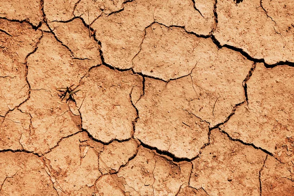 Dry Ground Background Climate Change Global Warming Concept Top View — Stock Photo, Image