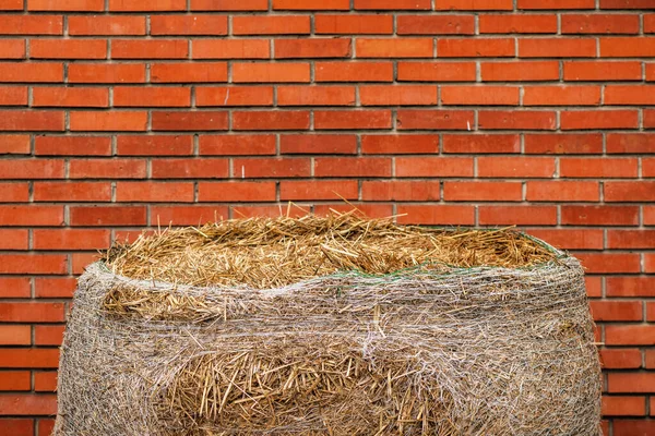 Hay Bale Red Brick Wall Ranch Agriculture Farming Concept — Stock Photo, Image