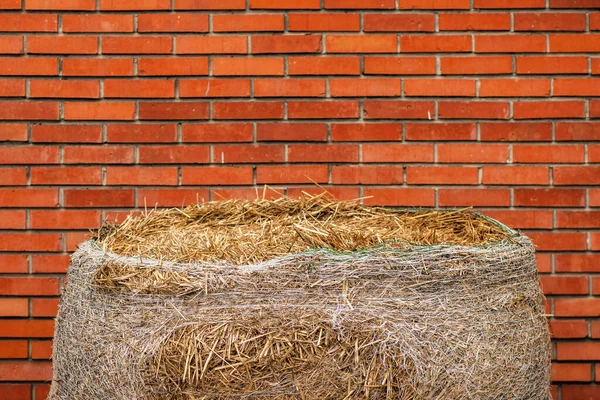 Fardo Feno Contra Parede Tijolo Vermelho Rancho Agricultura Conceito Agricultura — Fotografia de Stock